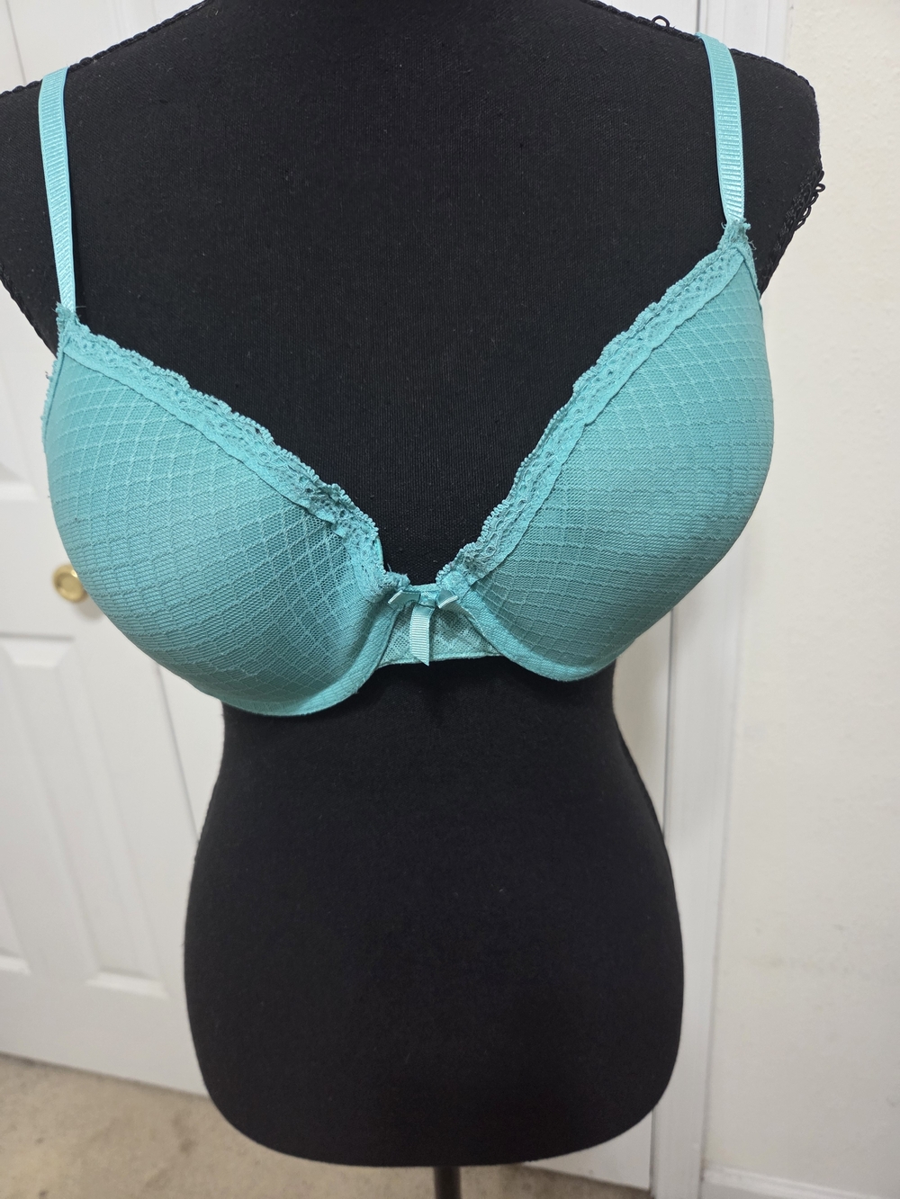 Teal Lace Trim T-Shirt Bra - Women's Intimates